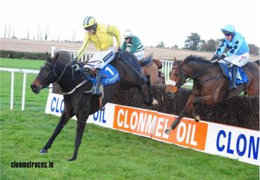 Westerner Lady - Clonmel Oil