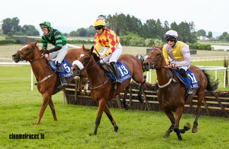 Hurdles Action Clonmel 