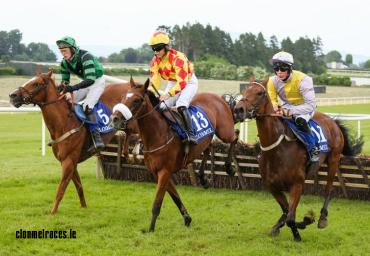 Hurdles Action Clonmel 