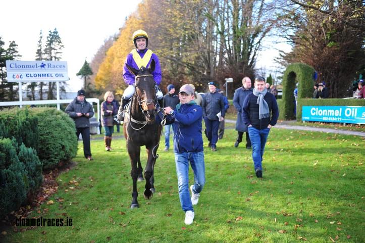Alelchi Inois Parade Ring