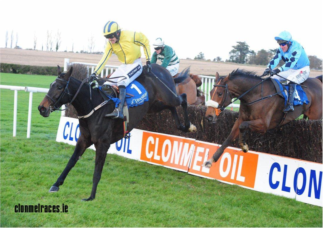 Westerner Lady - Clonmel Oil