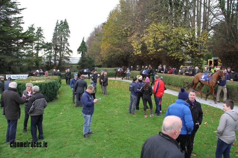 Parade Ring Clonmel Races