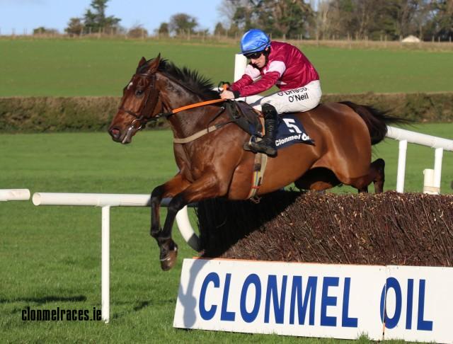 Alpha Des Obeaux 2017