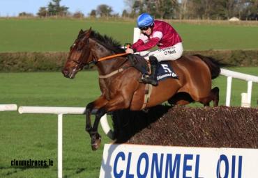 Alpha Des Obeaux 2017